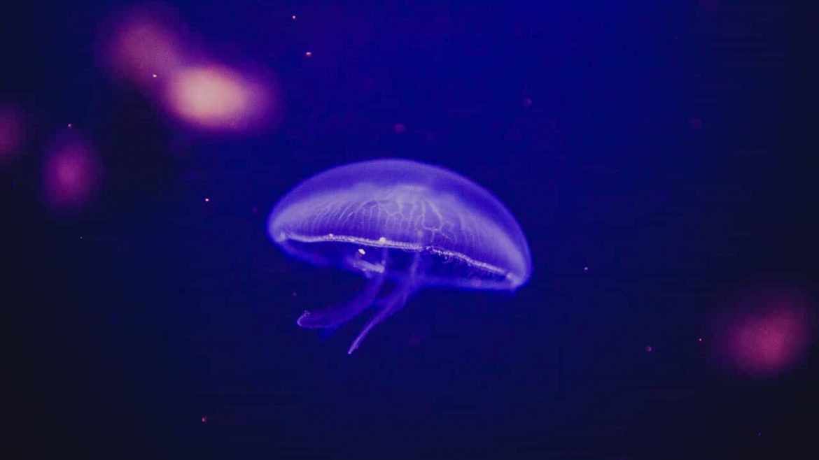 Inspiring design trends this fall 2017.